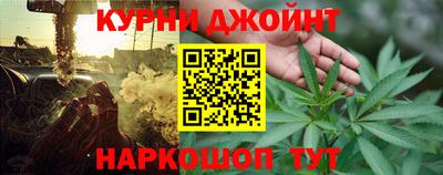 крисы Кингисепп