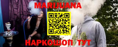 крисы Кингисепп