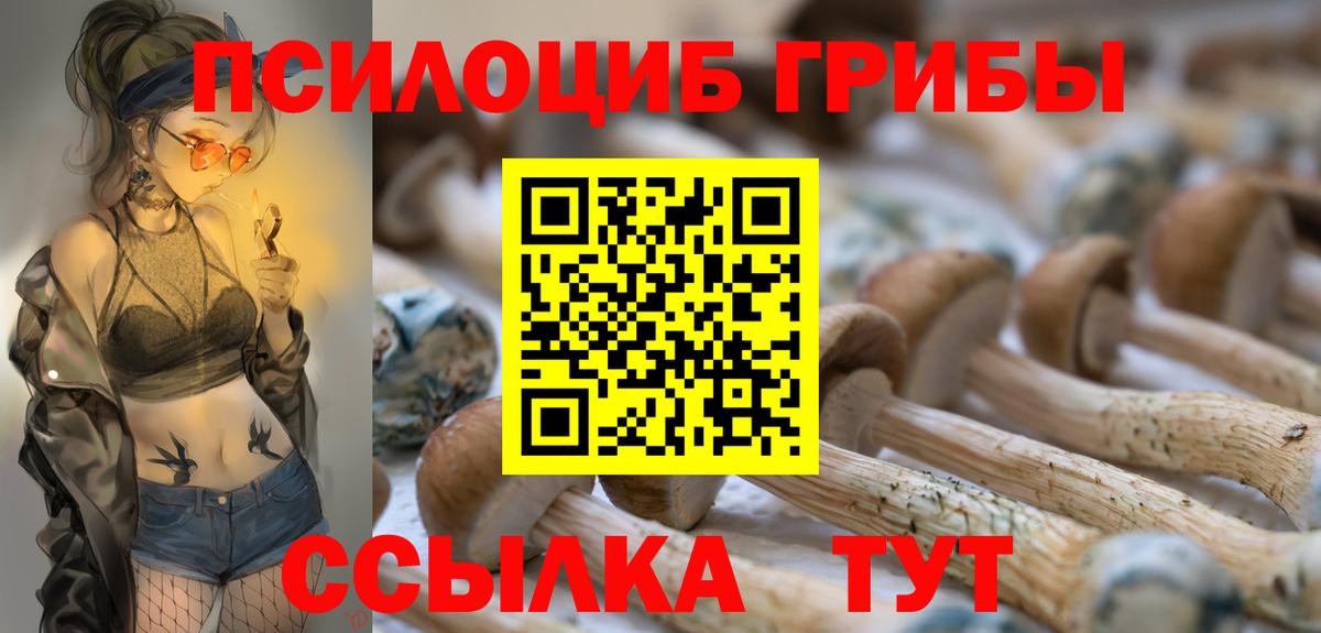 где найти   Вход с VPN  Красный Сулин  Галлюциногенные грибы мухоморы  Псилоцибиновые грибы GOLDEN TEACHER 