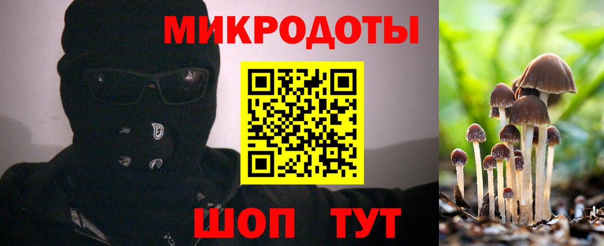 Галлюциногенные грибы Cubensis Красный Сулин